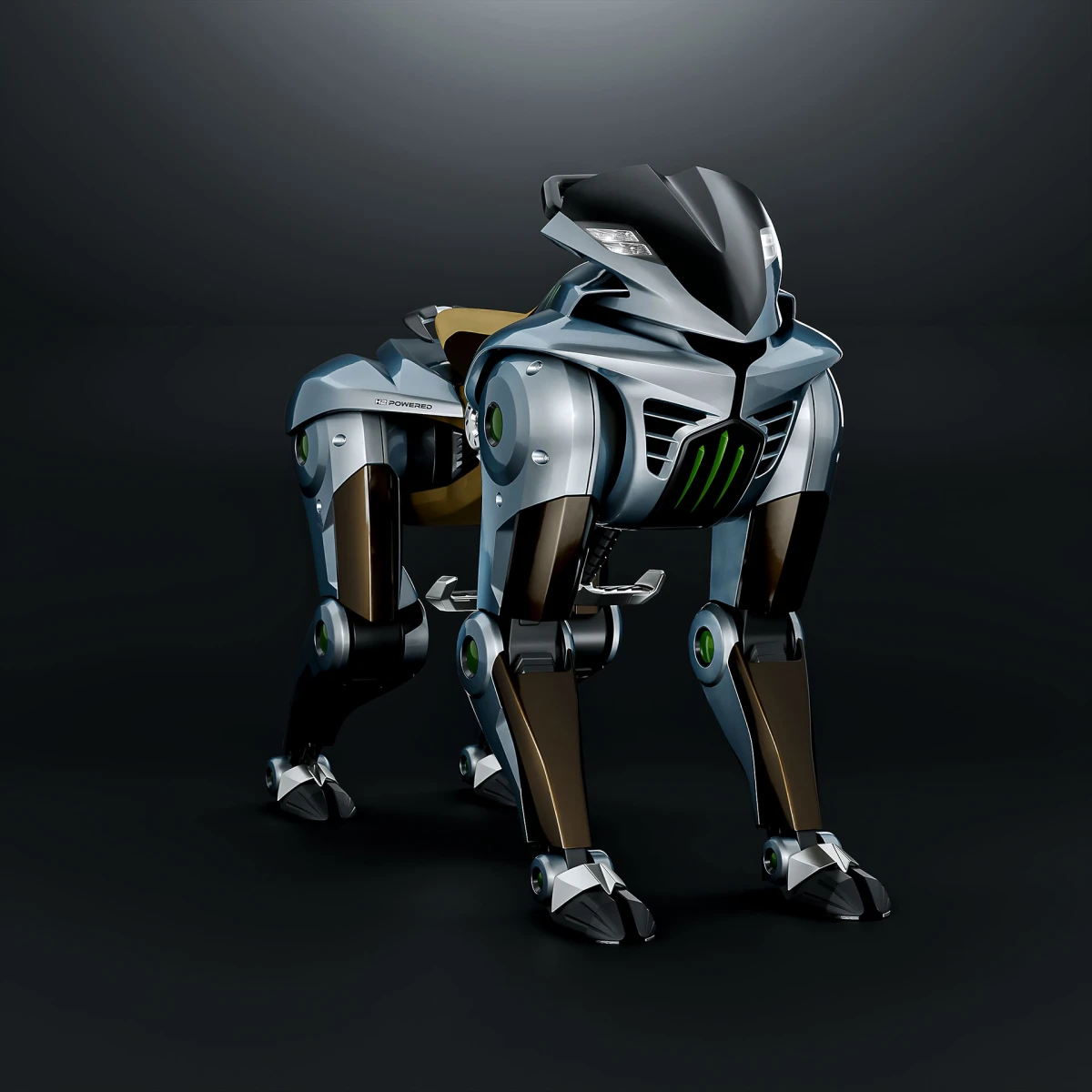 Kawasaki Corleo