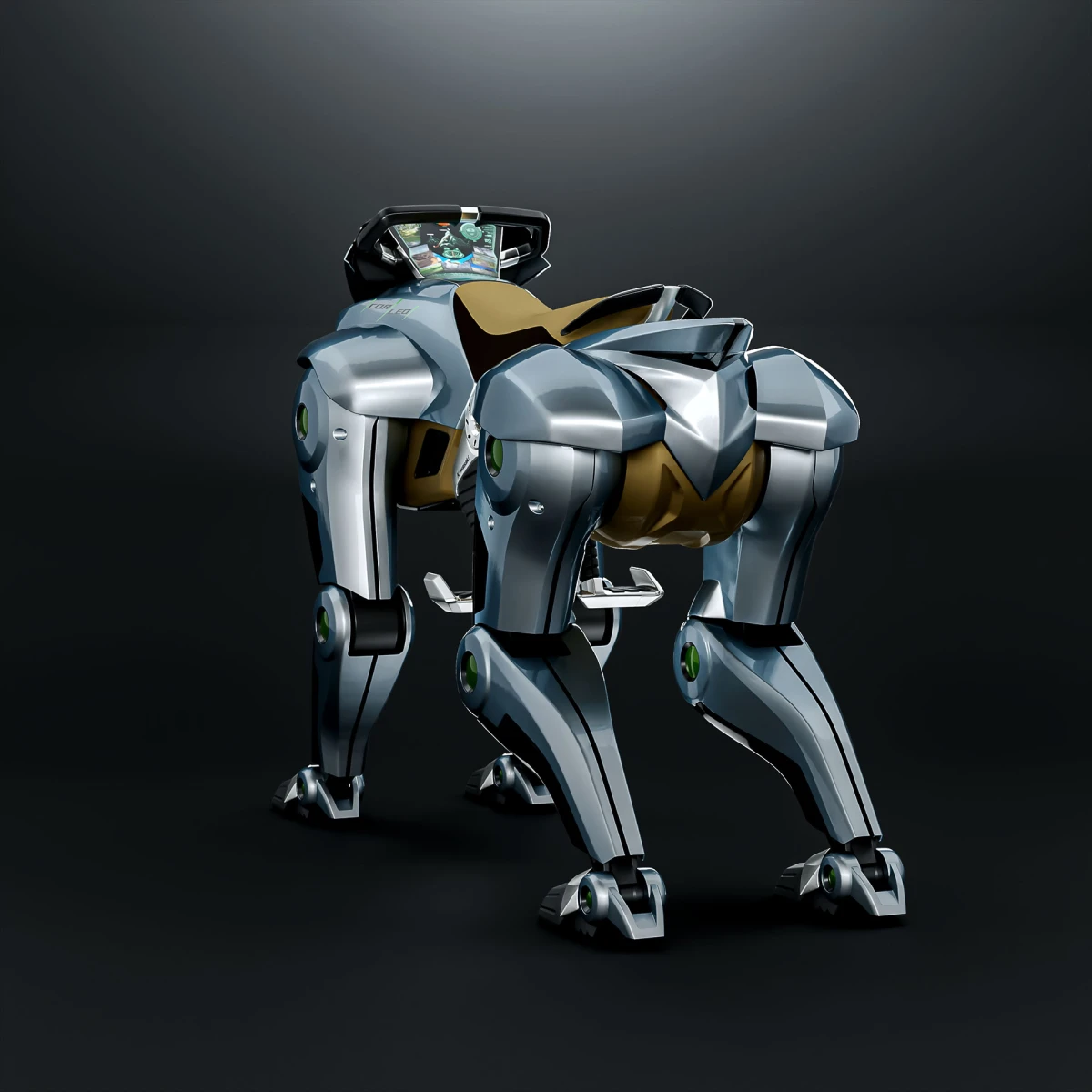 Kawasaki Corleo
